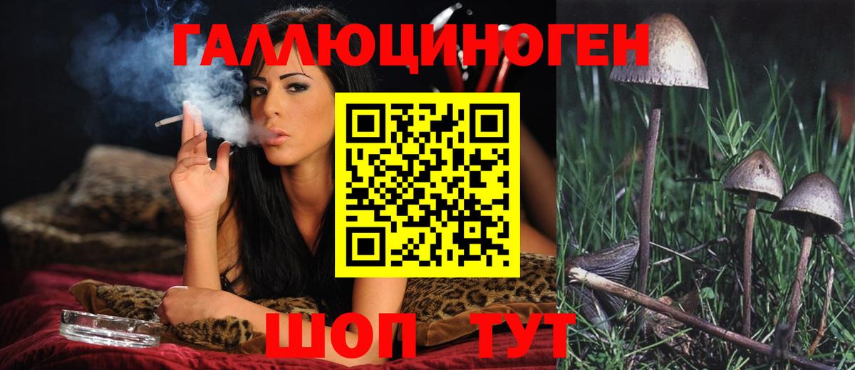 Галлюциногенные грибы прущие грибы Сосновоборск