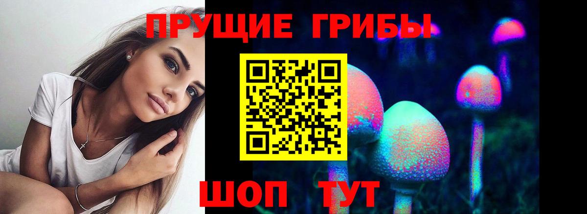 купить  сайты  Галлюциногенные грибы прущие грибы  Сосновоборск  Псилоцибиновые грибы Psilocybine cubensis 